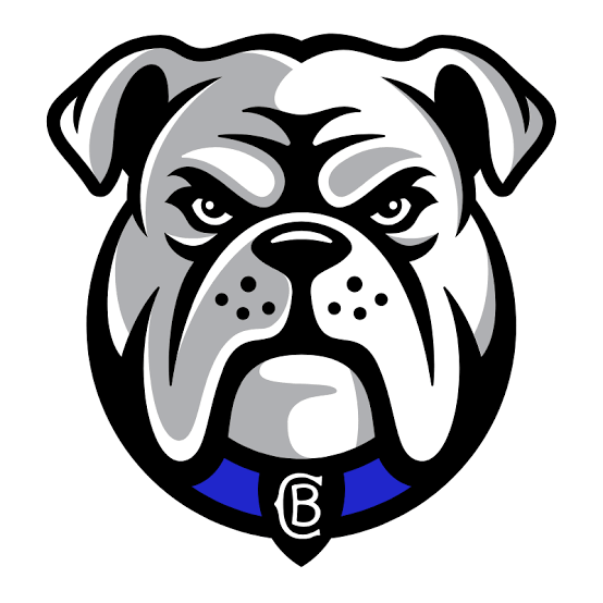 NRL Canterbury Bankstown Bulldogs